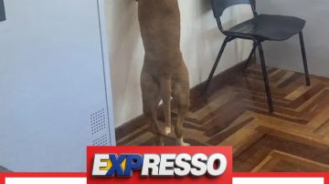 MatrizPostagem