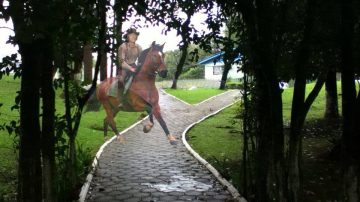 bradador003