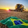 brasiagro