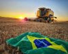 brasiagro