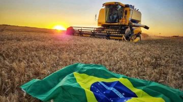 brasiagro