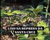 lixo001