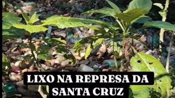 lixo001