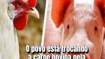 oficialmatriz
