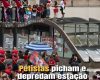 petistas001