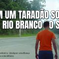 taradao