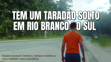 taradao
